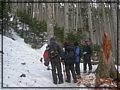 2011-03-08 08-02-30-黑森林踏雪行.JPG